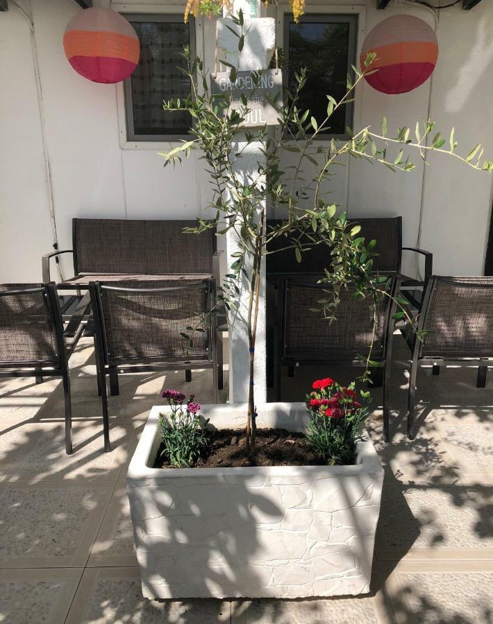 Apartments Mia Patria Улцинь Экстерьер фото